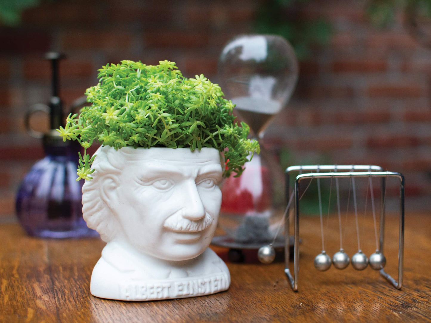 The Unemployed Philosophers Guild Albert Einstein Bust Ceramic Planter
