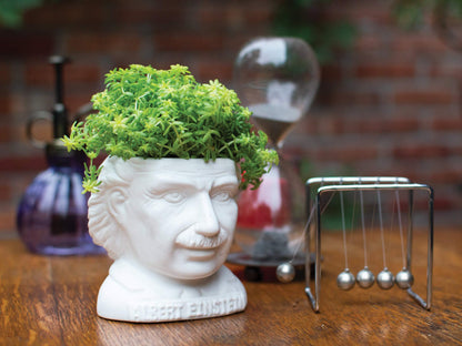 The Unemployed Philosophers Guild Albert Einstein Bust Ceramic Planter