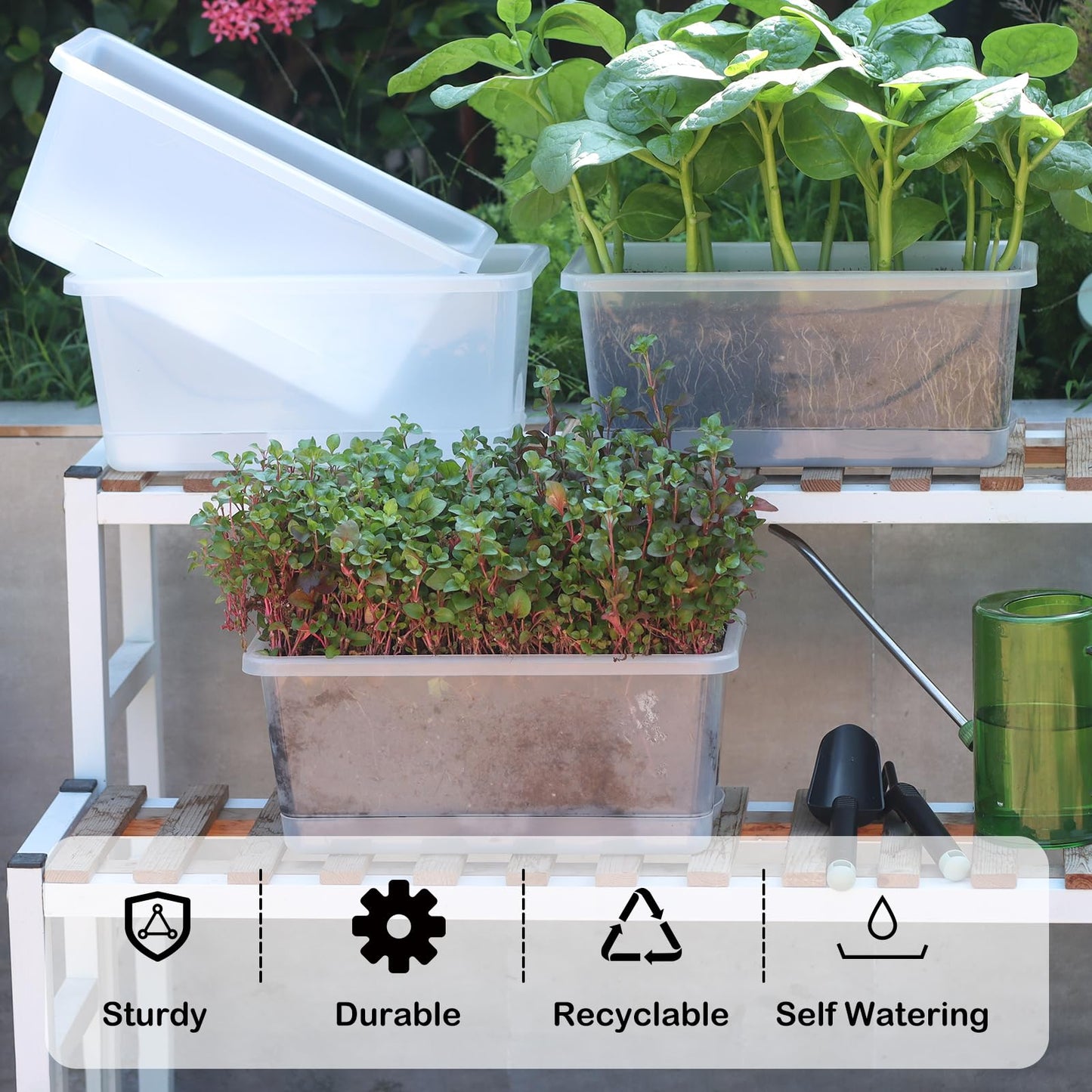 Oliz Window Box Planter 6 Packs, 13.8 Inches Rectangle Flower Pots with Drainage Holes & Trays, Pots for Vegetables, Herbs, Flowers, Garden Windowsill Balcony (Translucent White)