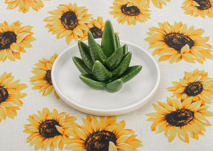NociHah Cactus Ring Holder Jewelry-Dish - Ceramic Plant Decor Jewelry Dish Bracelet Earrings Necklace Tray for Birthday Gifts Home Wedding Decor