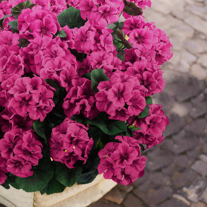 Hananona 6 Pcs Artificial Geranium Flowers for Outdoors Geraniums Silk Flowers Outdoor UV Resistant Garden Plants Faux Flowers for Home Kitchen Table Centerpieces Decor (6, Rose Red)