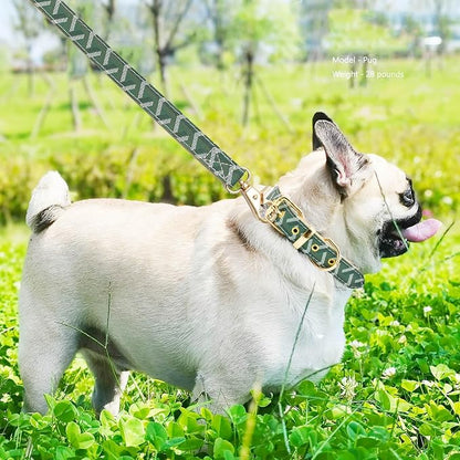 Leather Dog Collar and Leash Set, Check Pattern Dog Collar Leashes Metal Buckle Adjustable Durable for Small Medium Large Dogs (Green, XL(18-22IN))