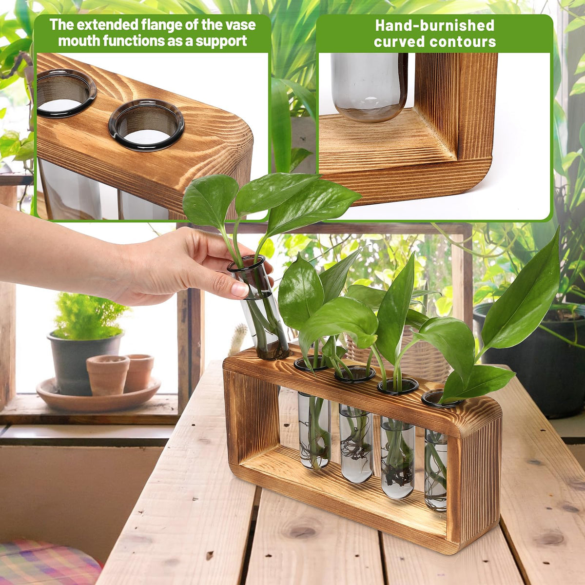 Glass Plant Propagation Station with 5 Test Tubes Colorful Planter Vase Birthday Gifts for Women in Wooden Stand