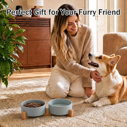 MateeyLife Ceramic Dog and Cat Bowls with Stand, 2-Pack Food and Water Bowl Set - Non-Slip Pet Bowls for Small & Medium Size Dogs，28.7OZ(Green)