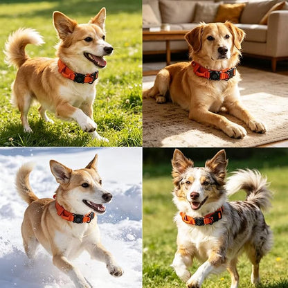 Upgraded AirTag Dog Collar,Waterproof Tactical Dog Collar with AirTag Holder, Control Handle and Metal Buckle,Heavy Duty Dog Collars for Large Dogs(Orange，L