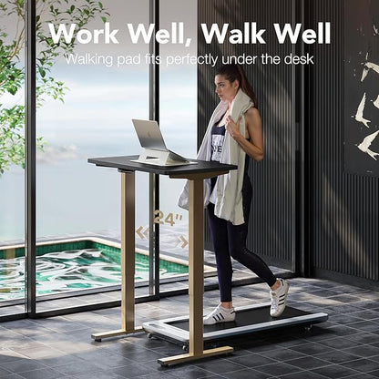 HUANUO 32" Small Electric Standing Desk Adjustable Height, 4 Memory Height Settings, Sit Stand Up Desk for Home Office & Computer Workstation, Black and Gold Frame
