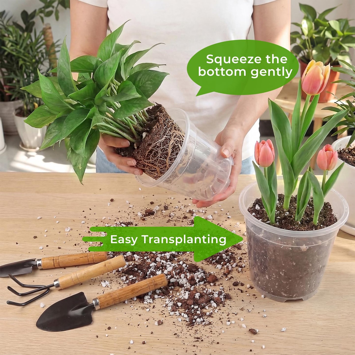 MeiVista 8 Pack Clear Nursery Pots with Drainage Holes, 5/6/6.7/7.5 Inch Sturdy Transparent Plastic Planters for Indoor & Outdoor, Includes 10 Labels, Ideal for Seed Starting and Planting