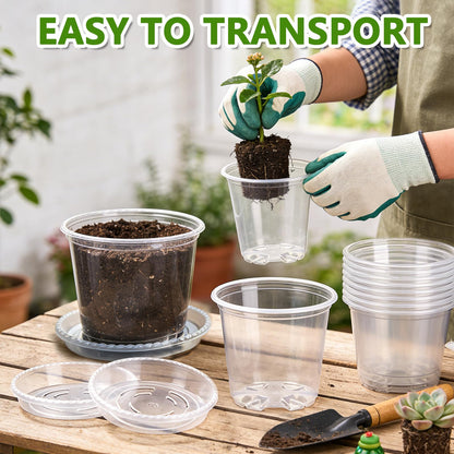 CAKKVDE 36 Pack Clear Nursery Pots with Saucers, 3.5/4/5 Inch High Transparency Plastic Plant Pots with Drainage Holes, Variety Pack for Propagation, Seed Starting, Succulents, Herbs and Vegetables
