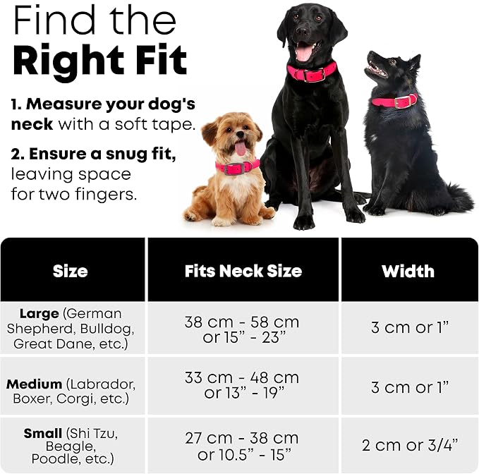 Regal Dog Products Large Pink Waterproof Biothane Dog Collar and Leash Set | Heavy Duty Double Buckle & D Ring - 5'ft Leash | Adjustable, Chew Resistant Collar for Dogs