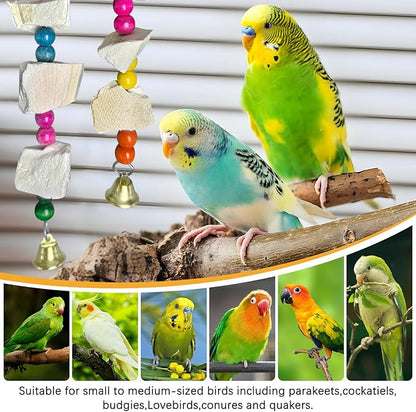 Hamiledyi 2 Pack Bird Toys with Five Cuttlebone - Natural Calcium Chew Toy for Beak Grinding, Hanging Wooden Cage Accessories for Parakeets, Budgies, Cockatiels, Lovebirds(Style A)