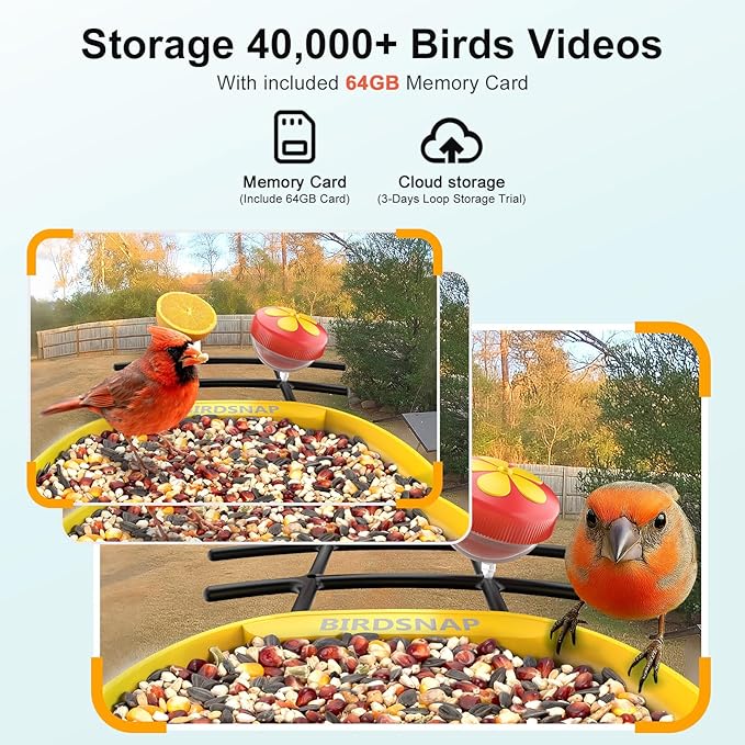 birdsnap® PAV-Bird Feeder with Camera,2K HD with 64GB Card, AI Identify Smart Bird House Cam Solar Panel,Live Stream,Motion Detection,Auto Record Video for Backyard Outdoors,Ideal Gift for Bird Lover