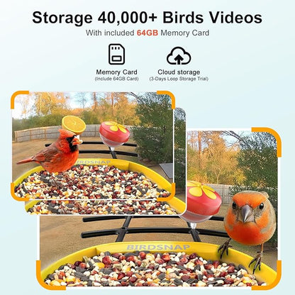 birdsnap® PAV-Bird Feeder with Camera,2K HD with 64GB Card, AI Identify Smart Bird House Cam Solar Panel,Live Stream,Motion Detection,Auto Record Video for Backyard Outdoors,Ideal Gift for Bird Lover