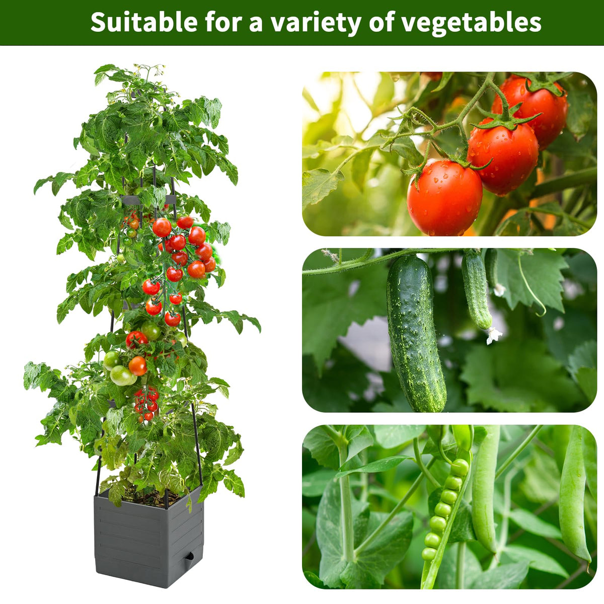 Qaobo Raised Garden Bed, Planter Boxes with Trellis 58.3'' Tomato Planters for Climbing Vine Vegetables Flowers Plants Self Watering Tomatoes Cage for Outdoor Patio Greenhouse