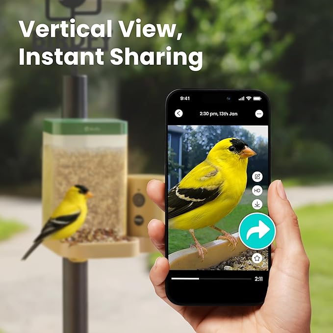 Birdfy Bird Feeder with Camera for Rookie - Solar Powered Outdoor Bird Feeder with Dual Night Vision, AI Recognition, Slow Motion & IP66 Waterproof, Ideal for BirdLovers (AI by Subscription)