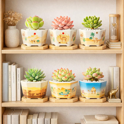 Succulent Pots, 6 Pack Floral Plant Pots with Drainage Tray, 3.7" Small Flower Pots for Indoor Plants, Ceramic Succulent Planters for Cactus, Home Office Decor
