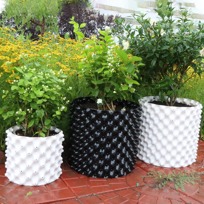 Plant air pruning pot, honeycomb porous structure design, improve root system development, prevent decay, suitable for flowers/vegetables/seedlings, farm planting solutions (Black, 8inches-3G-6P)