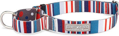 Lucky Love Dog - Adjustable Dog Collar with Easy Click Buckle for Medium, Durable, & Comfortable for Male & Female Dogs, Pet Collar for Puppies & Adult Dogs - Linus Martingale, Medium