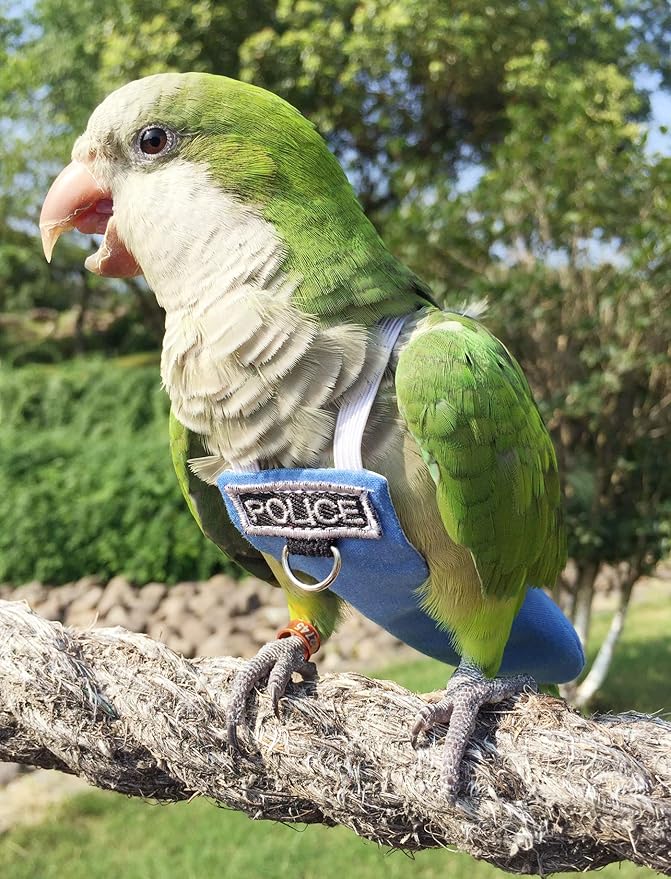 Bird Clothes Parrot Diapers, Reusable Waterproof Diapers, Flight Suits (XL)