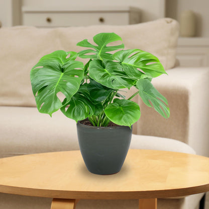 Sunnydaze Resort Round Ceramic Planter - Set of 2 Indoor or Outdoor Plant Pots with Drainage Hole - 8" - Gray Glaze