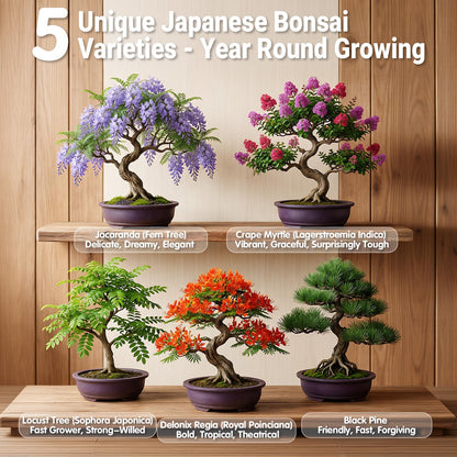 JELHFIP Bonsai Tree Starter Kit for Beginners 5 Unique Indoor Bonsai Trees with Gardening Tools DIY Bonsai Growing Kit Perfect Gifts for Women Men Plant Lovers for Birthday Father’s Day Housewarming