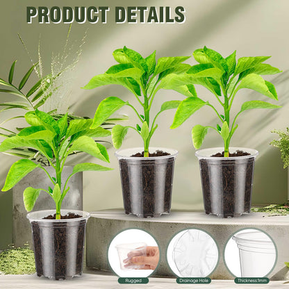 Baderke 150 Pcs Small Clear Nursery Pots for Plants Round for Seeds Starter Pots Mini Clear Plastic Plant Pots with Drainage Holes Transparent Seeds Germination for Plant Propagation (3.5 Inch)