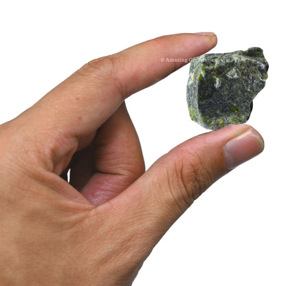 Amazing Gemstone Green Jade Raw Crystals and Healing Stones, Natural Rocks for Tumbling and DIY Raw Stones and Crystals (1 lb)