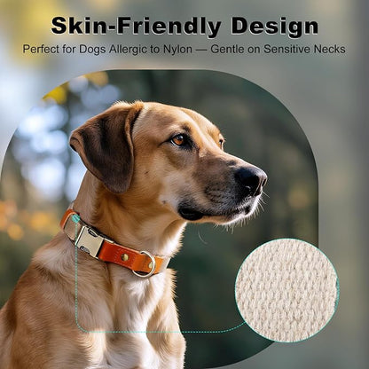 Plutus Pet Genuine Leather & Hemp Dog Collar – Adjustable Heavy Duty Pet Collar with Quick Release Metal Buckle, Soft & Stylish for Puppy and Small, Medium, Large Dogs (Ash Brown, S)