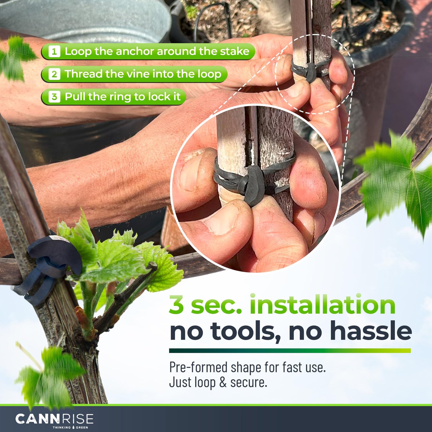 Anchor Bands for Trellising – 70-Pack 8 cm/3.14 in Rubber Vine Ties, UV-Protected Bands: Grapevines, Trees & Climbing Plants – Tool-Free Loop-and-Anchor Design for Install, Weatherproof