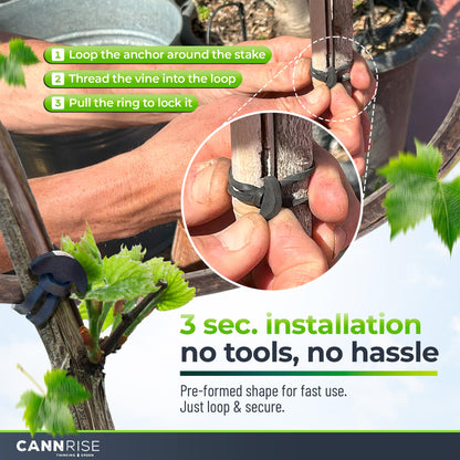 Anchor Bands for Trellising – 110-Pack 5 cm/1.96 in Rubber Vine Ties, UV-Protected Bands: Grapevines, Trees & Climbing Plants – Tool-Free Loop-and-Anchor Design for Install, Weatherproof