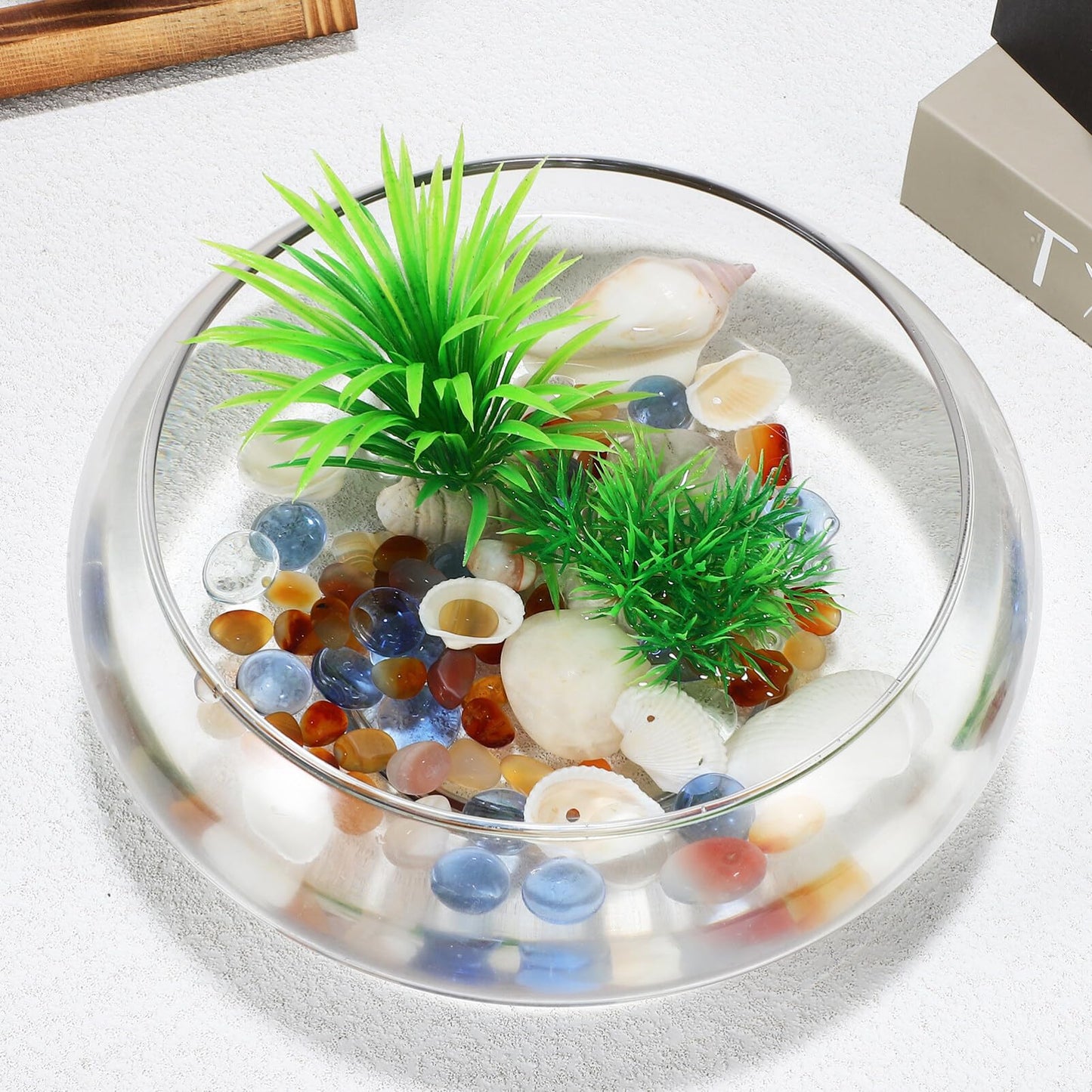 BESPORTBLE Glass Fish Bowl Vase - 2pcs Clear Shallow Bowl Planter Round Terrarium Hydroponic Planter Flower VAE for Plants Succulent Air Plant Candy Bowl, 15.00X15.00X6.00CM