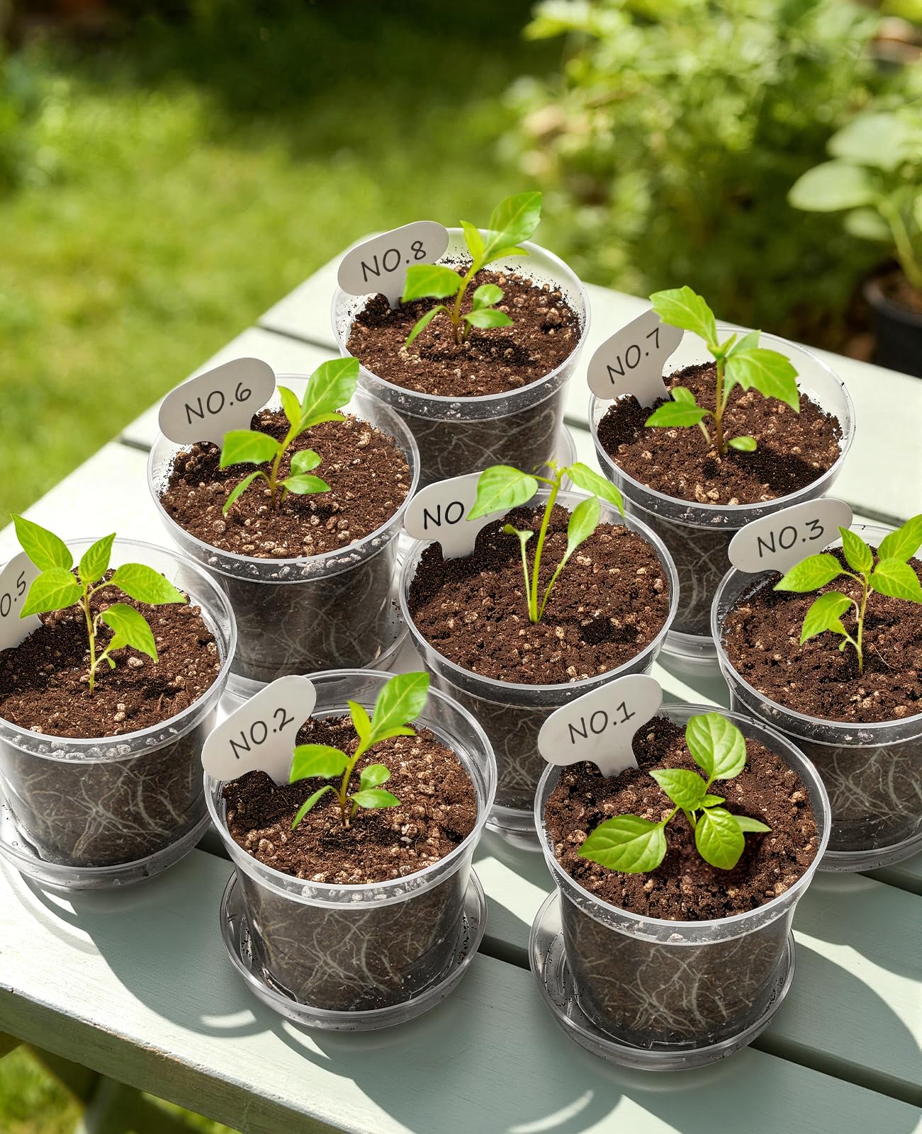 homenote 4/5/6.7 Inch Clear Nursery Pots 18 Pack with Drainage and Plant Saucers, Variety Pack Rigid High-Transparency Plastic Nursery Pots for Plants, Planter Nursery Pots with Drainage Holes