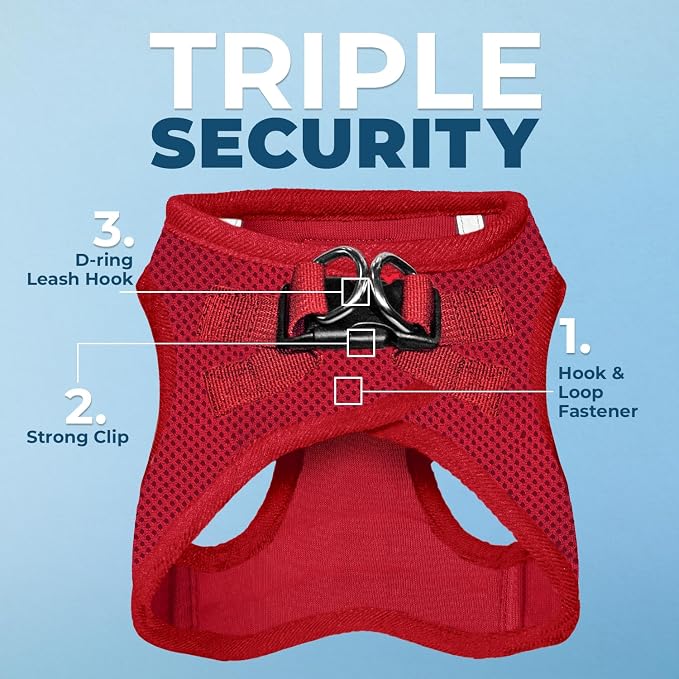 Best Pet Supplies Voyager Step-in Air All Weather Mesh Harness and Reflective Dog 5ft Leash Combo with Neoprene Handle, for Small, Medium and Large Breed Puppies - Set (Red), Large