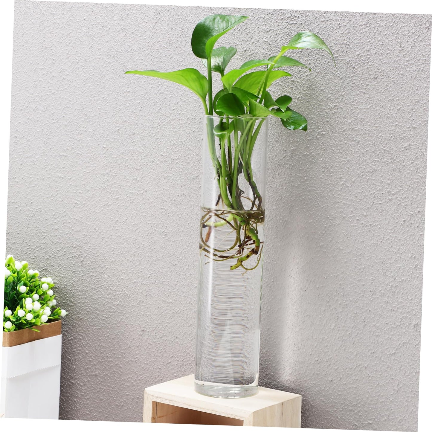 Cabilock 2pcs Cylinder Glass Wall Vase Clear Hanging Planters for Wall Propagation Stations Sleek Transparent Hydroponic Plant Terrariums for Home Decor