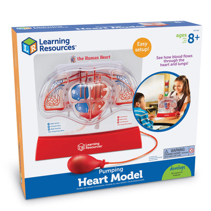 Learning Resources Pumping Heart Model - Science Classroom Must Haves, STEM Student Essentials, Practice Anatomy, Cardiology Artery and Veins Study Tools, Back to School Supplies for Teachers