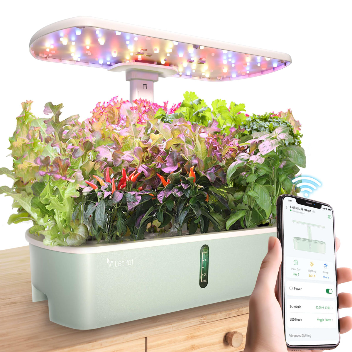 LPH-Air Hydroponics Growing System with 172 PCS Seed Plant Kits