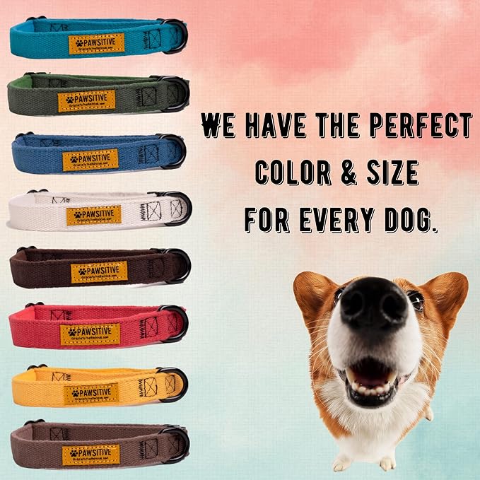 Pawsitive Hemp Dog Collar - Super Soft Hypoallergenic Lining. Great for Small, Medium and Large Dogs; Medium Night Blue