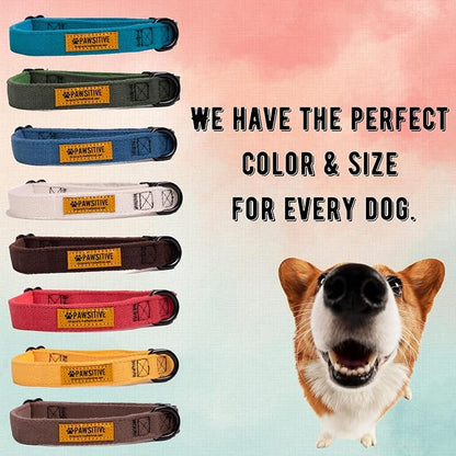 Pawsitive Dark Green Dog Collar Hemp Dog Collar - Soft Hypoallergenic Lining. Made from Sustainable Hemp Fabric. Small Forest Green