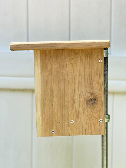 DutchCrafters Gillwood Bluebird Cedar Wood Nest Box, Outdoor Nesting Box for Birds, Wooden Bird House, Pole Mount Birdhouse for Outside - Amish Made in USA