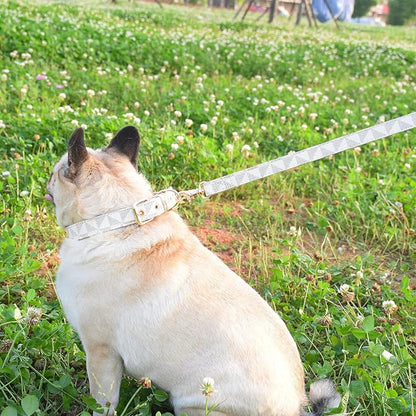 Leather Dog Collar and Leash Set, Check Pattern Dog Collar Leashes Metal Buckle Adjustable Durable for Small Medium Large Dogs (White, L(14.5-18.5IN))