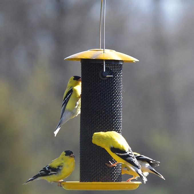 Songbird Essentials Gold Finch Feeder for Outdoor Hanging - Petite Nyjer Thistle Seed Feeder - All Metal - for Finches and Buntings for Outdoor Garden - Bright Yellow