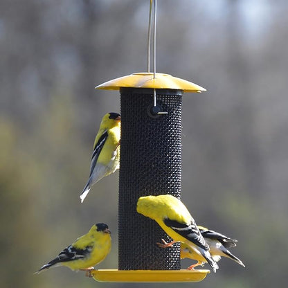Songbird Essentials Gold Finch Feeder for Outdoor Hanging - Petite Nyjer Thistle Seed Feeder - All Metal - for Finches and Buntings for Outdoor Garden - Bright Yellow