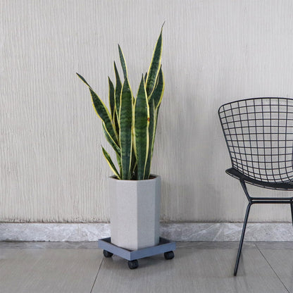 Sanbege Plant Caddy with Wheels, 11" Square Plant Pallet, Plant Pot Trolley (Grey)