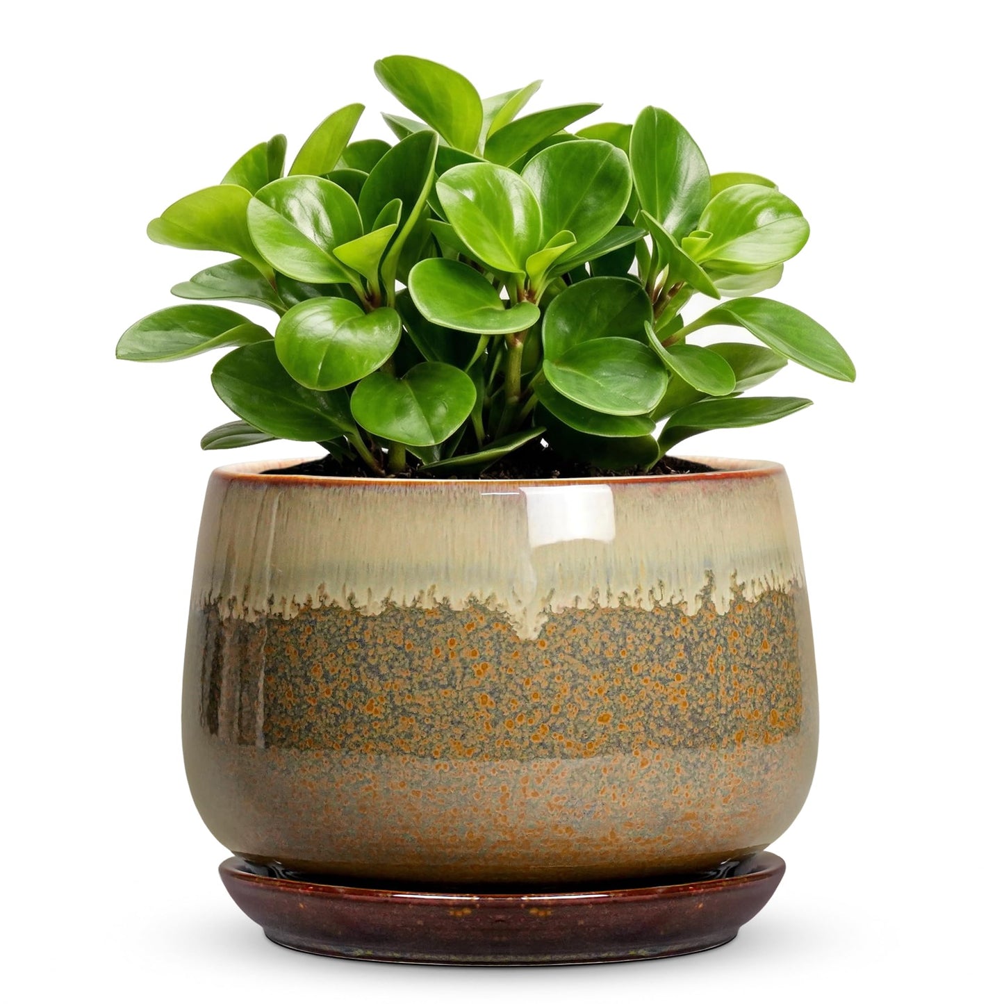 Fivepot 6 Inch Plant Pot - Ceramic Pots for Indoor Plants, Round Small Succulent Planter with Drainage and Saucer, Decorative Flower Pot, Office Room Decor, Gifts for Plant Lovers, Brown-Beige