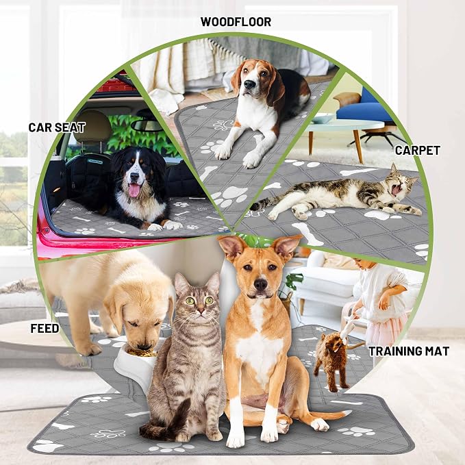 PatiencET Washable Pee Pads for Dogs, 36" x 48" 2 Pack, Extra Large Reusable Puppy Pads with Super Absorbent Core & Non-Slip Waterproof Bottom for Playpens, Sofas & Beds