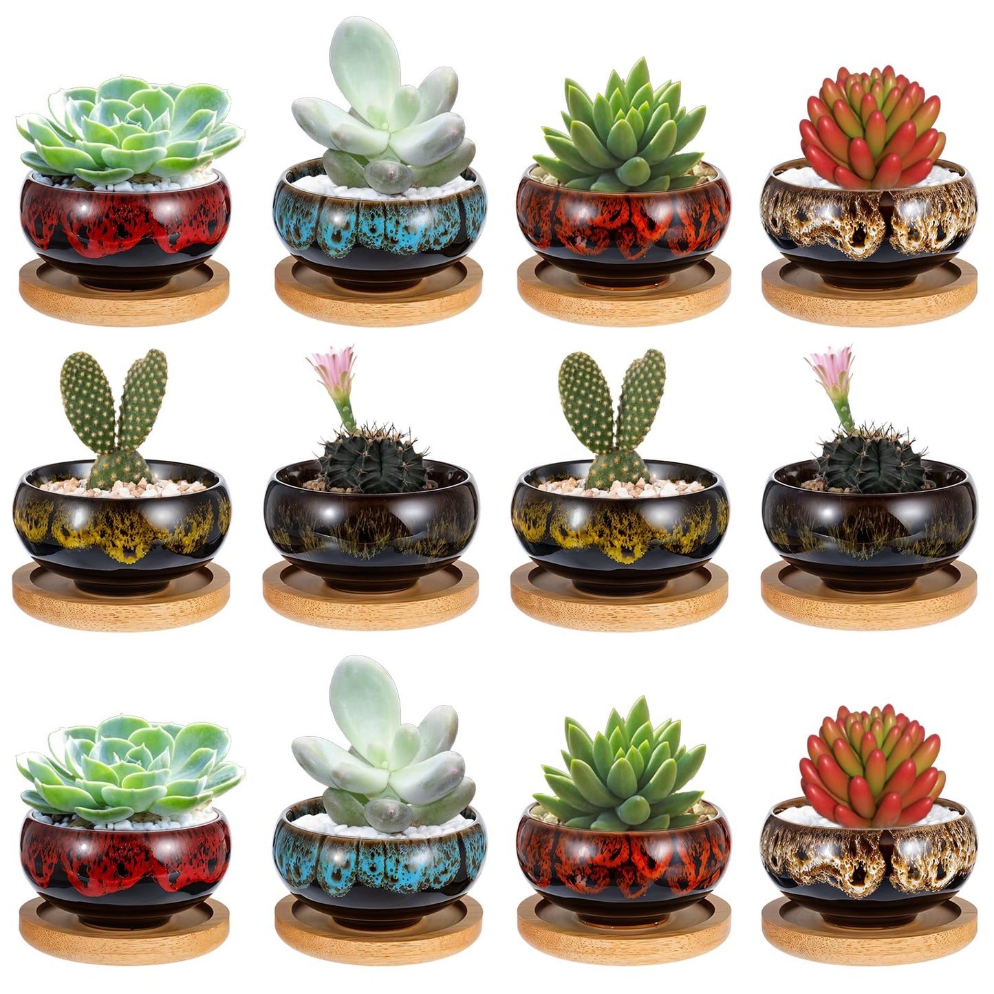 mekueeex 12 Pcs Ceramic Succulent Garden Pots Succulent Small Plant Cactus Planter Ceramic Pot with Drainage Hole and Bamboo Tray Matte Round Container (2.5 Inch)