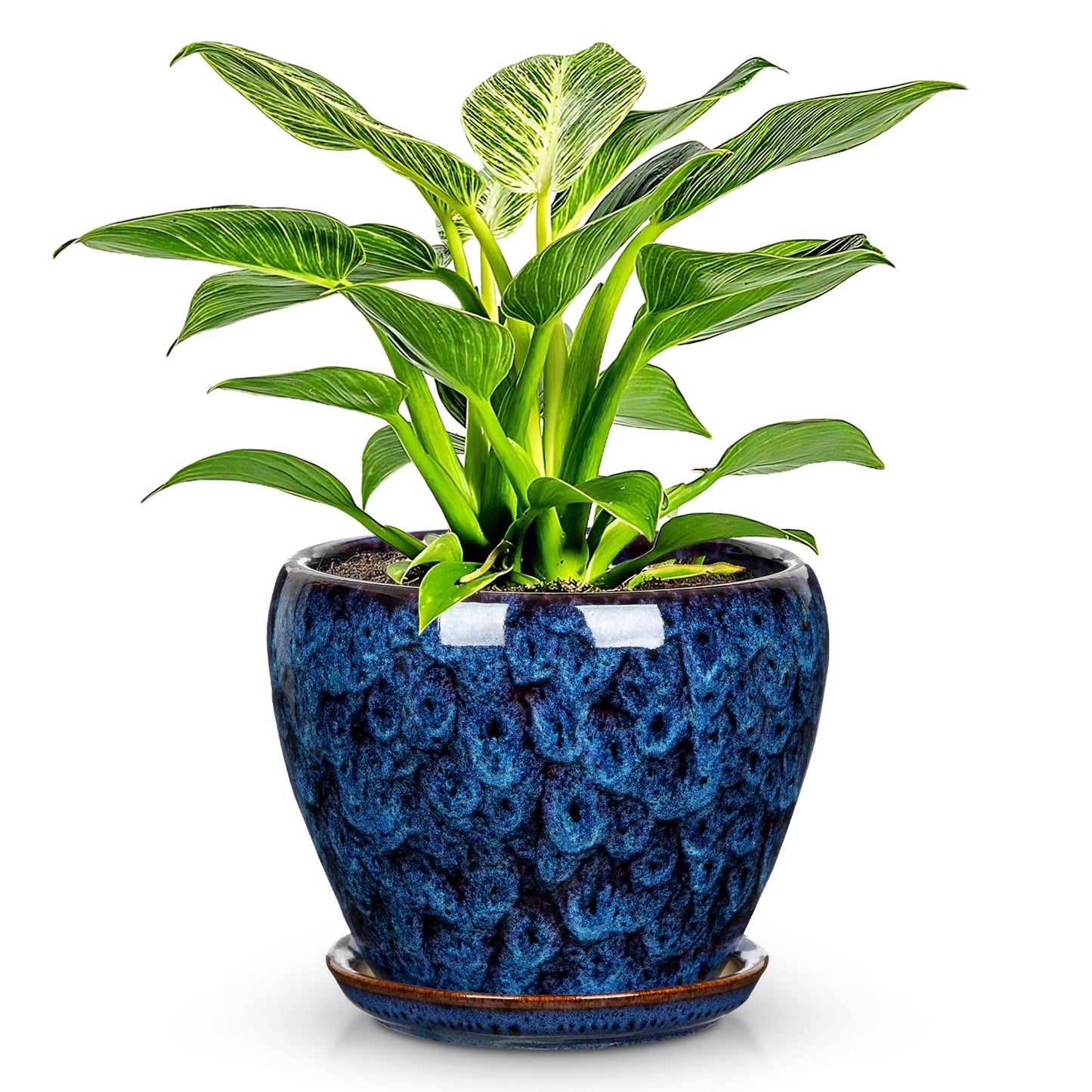 Hollyone Ceramic Planter Blue Ceramic Plant Pot for Plants Flowers 5.5 inch with Drainage Hole and Saucers Ceramic Glaze Round Flower Plant Pot for Indoor Outdoor Round Succulent Orchid Flower Pot