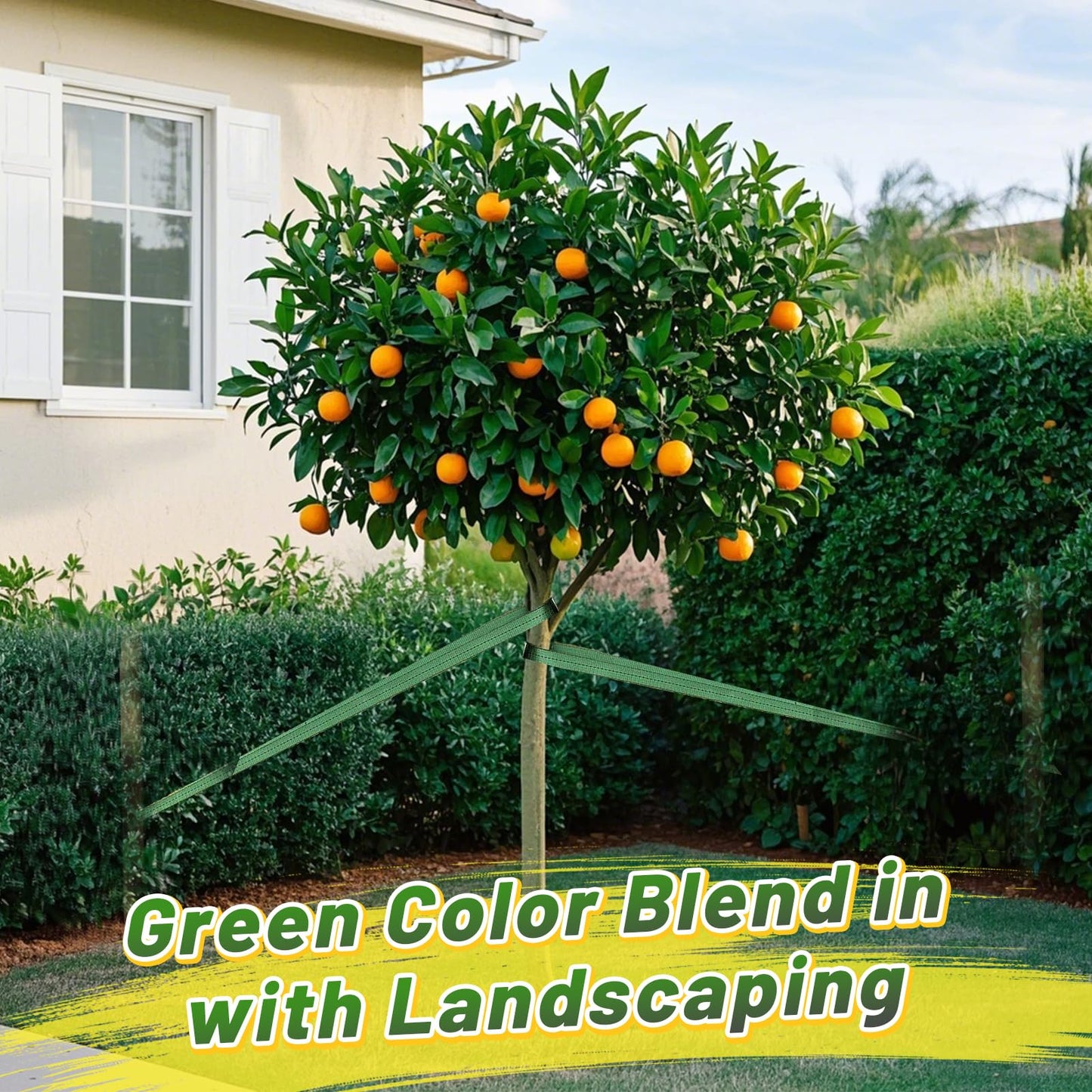 2,425 Lbs Strength Tree Straps - 216FT Tree Tie Support Straps for Staking, Green Blend in with Landscaping for Guying Young Trees Straight and Storm Protection, for Outdoor Plants, 1" Wide