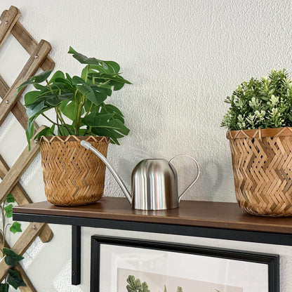 IMEEA Small Watering Can for Indoor Plants, Stainless Steel with Long Spout, 15oz/450ml – Perfect for Desk, Windowsill & Bonsai