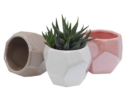 Admired By Nature Mini Pot Planters 3 Inch Ceramic Geometric Design Succulent Plant Pots, Set of 3
