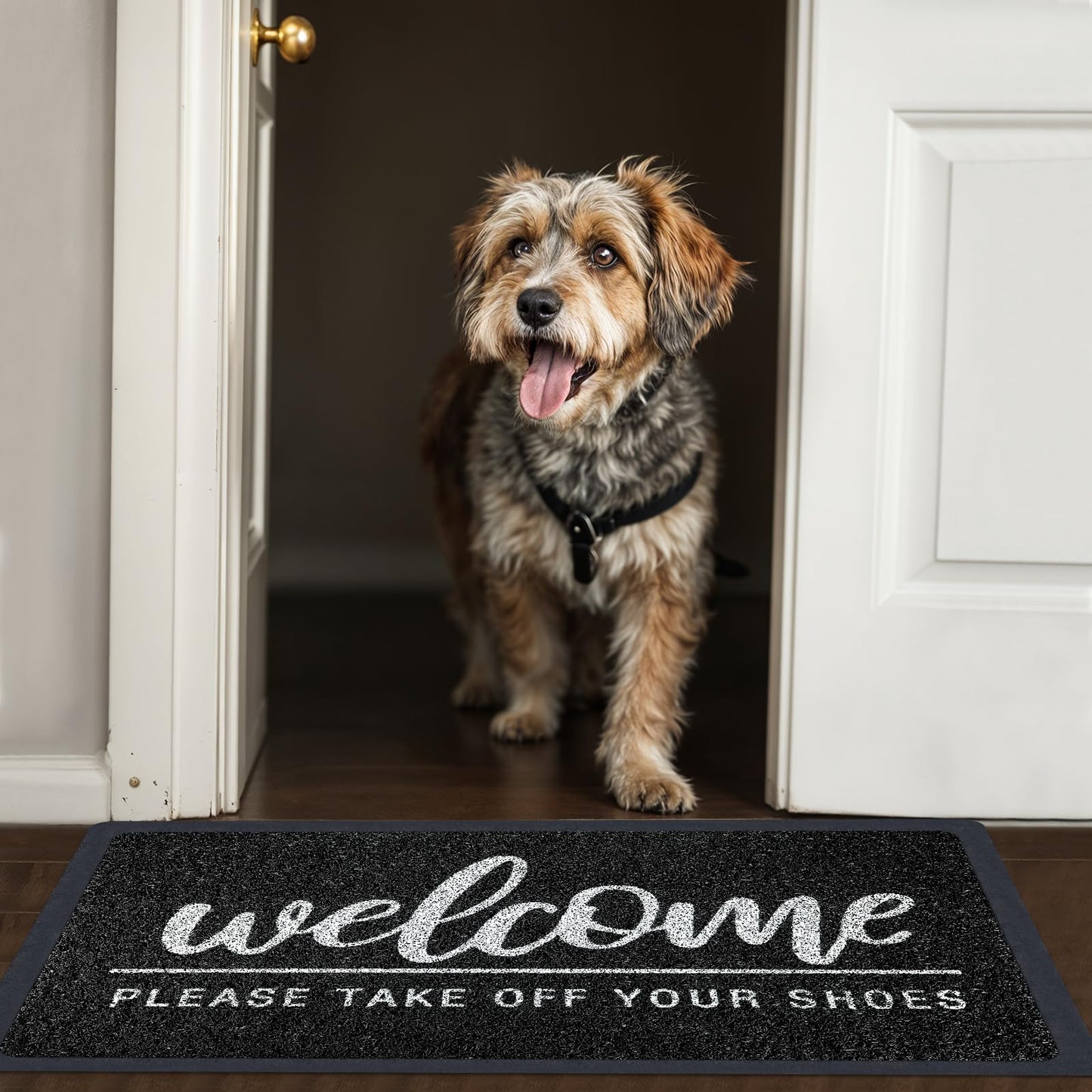 LUUFILx Welcome Door Mat Funny Front Door Mat Outside Indoor Entrance 30 x17.5 Inch Non Slip Floor Doormat Easy to Clean Christmas Black Doormat for Entry Porch High Traffic Areas Patio Yard Garage